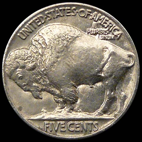 Buffalo Nickel - Other View Of Bright Eyes (The Clown)