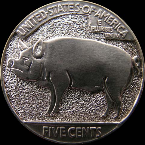 Barnyard Pig - Profile (Reverse Of Evolution Of Pig)