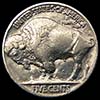 Buffalo Nickel - Reverse Of Grey Parrot (Gray Parrot)